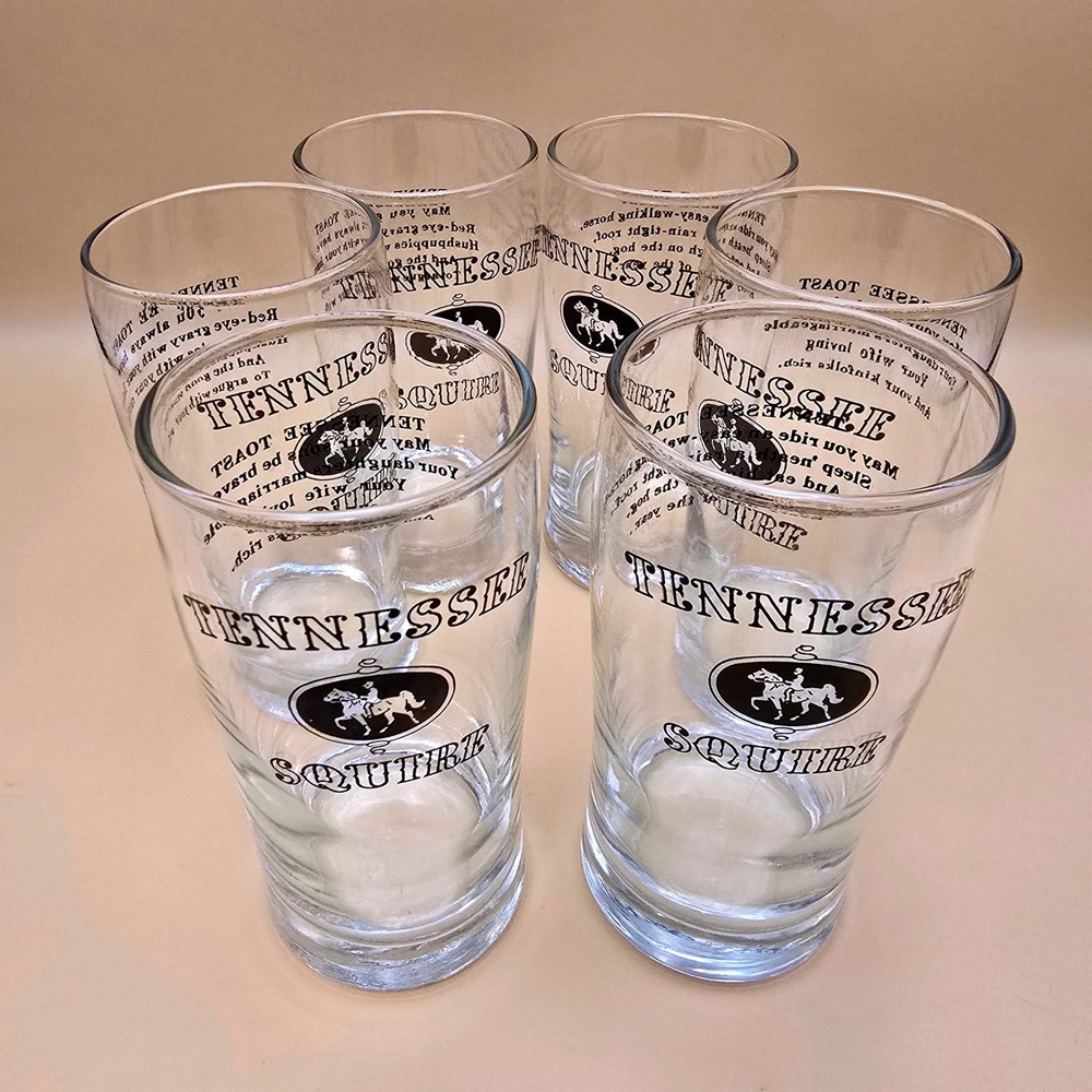 Vintage Jack Daniels Tennessee Squire Association Toast Glasses Set of‎ 6 Clear